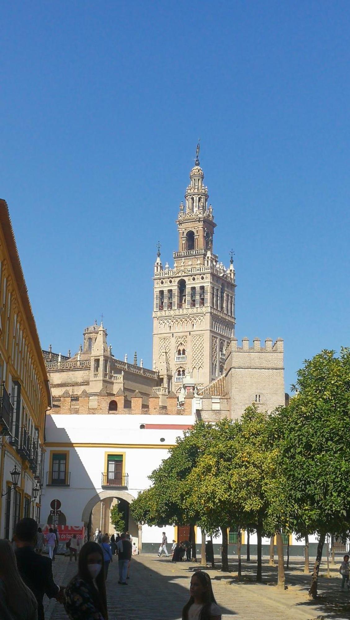 Apartamentos Flamenco B&B Sevilla Eksteriør billede