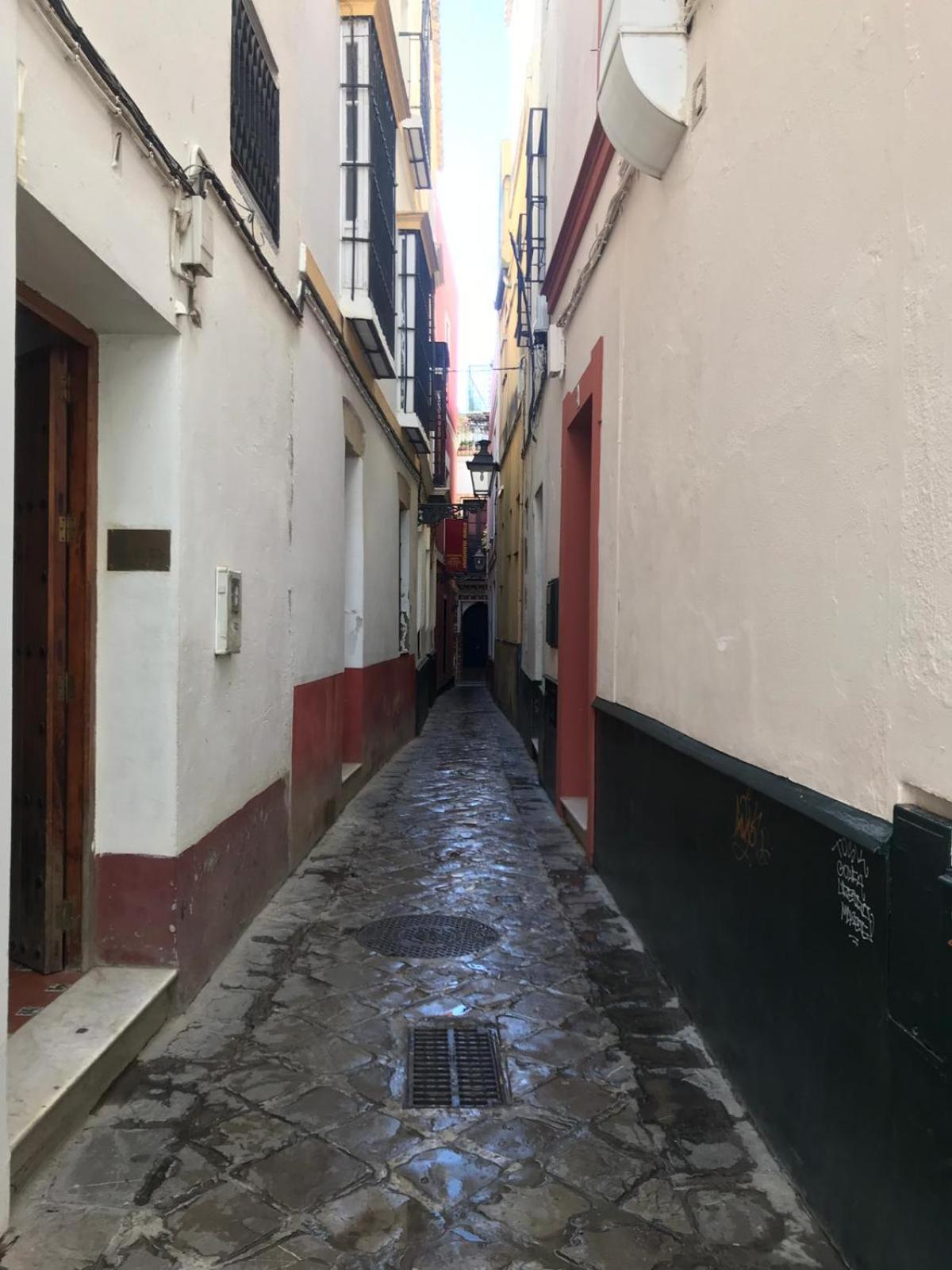Apartamentos Flamenco B&B Sevilla Eksteriør billede