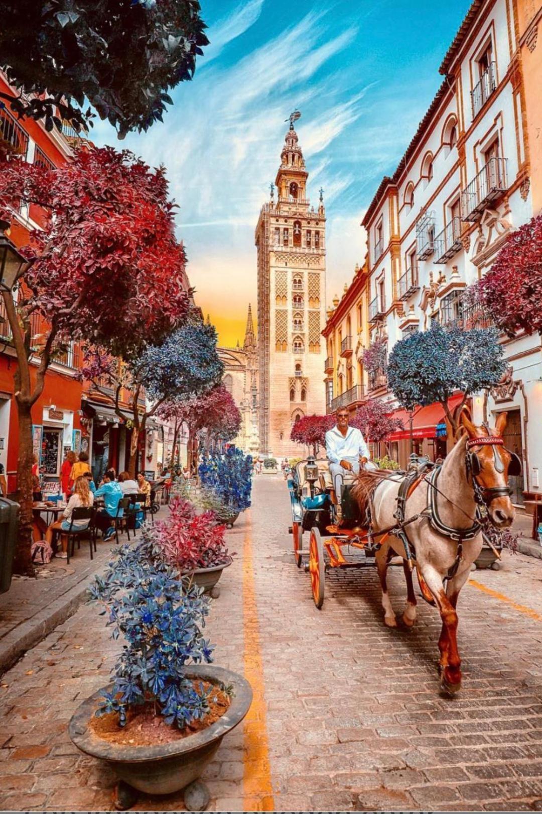 Apartamentos Flamenco B&B Sevilla Eksteriør billede